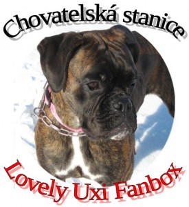 LOGO -foto